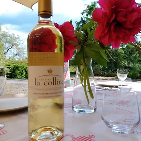 La Colline - D'hotes - サルラ・ラ・カネダ