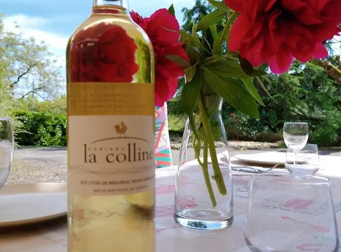La Colline - D'hotes - Sarlat-la-Canéda